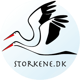 Storkene